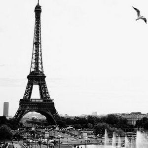 Meet your Posher, Olga